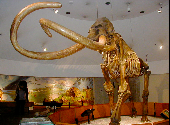 mammoth.png