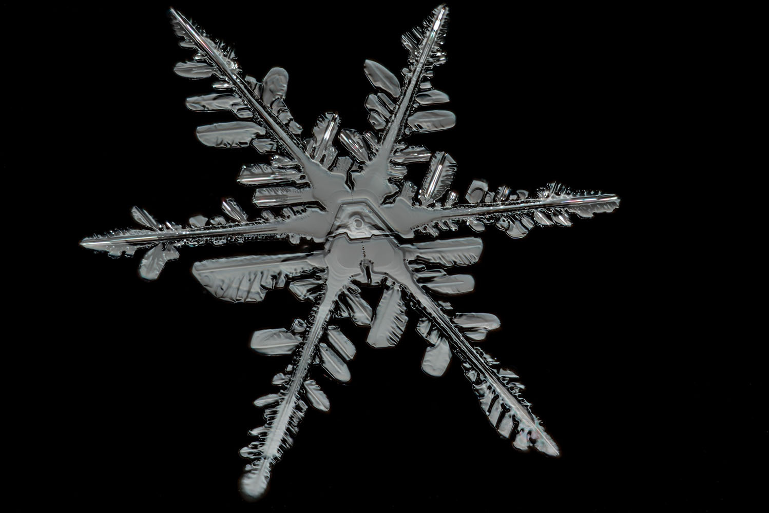 Snowflake_Detail.jpg